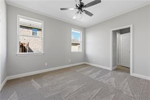 Photo 17 of 25
