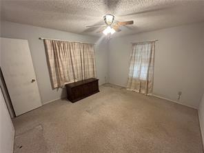 Photo 16 of 22