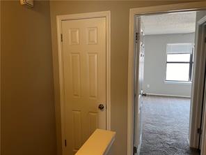 Photo 17 of 28