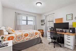 Photo 20 of 29